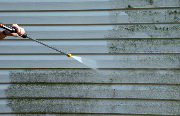 Best Black Mold Removal  in Glasgow, VA