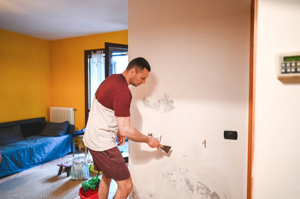 Best Residential Mold Removal  in Glasgow, VA