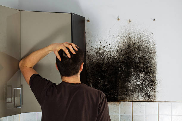 Crawl Space Mold Removal in Glasgow, VA