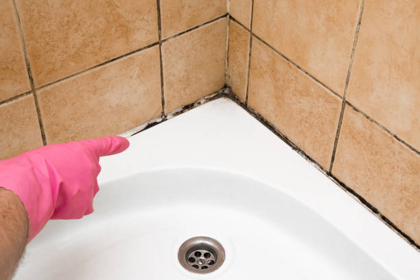 Best Commercial Mold Removal  in Glasgow, VA